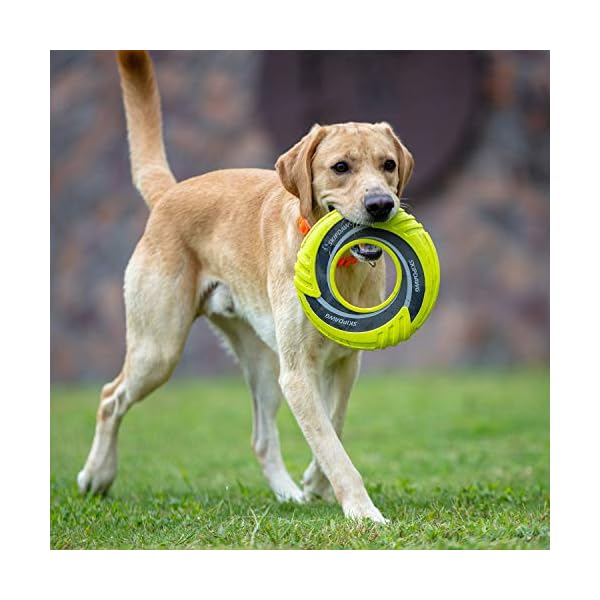 Interactive Dog Tug Toy