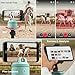 Pivo Equestrian Starter Pack Auto Tracking Phone Holder, Face, Body & Horse Tracker, 360° Rotation, 6 Speed, Stand for Video Recording (Green)