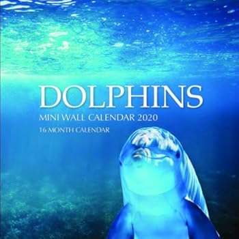 Paperback Dolphins 7 x 7 Mini Wall Calendar 2020: 16 Month Calendar Book