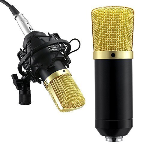 Tonor Professional Cardioid Solid State Condenser Broadcast Recording Microphones, Black
