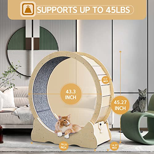 LiiZee Cat Exercise Wheel for Indoor Cats, Diameter 39.4" Cat Runing Wheel for Cats, Sturdy Cat Treadmill Wheel with Locking Mechanism,Stable&Quiet Running for Cat's Healthy - Image 3