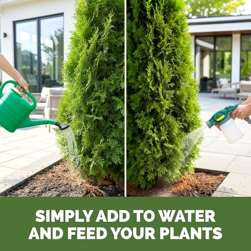 Arborvitae Liquid Fertilizer 1 Gal