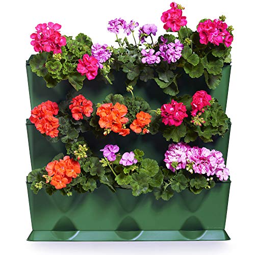 minigarden Vertical 1 Set pour...
