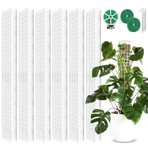 6 Satz Moosstab Rankhilfe:61cm Pflanzstab Plastik Mit 3 Erdspieße,2 Klettbändern,30m Garten Drehbinder,Rankhilfe Monstera,Moosstab für Monstera Rankhilfe,Pflanzstab Monstera für Garten Kletterpflanzen 6 Satz Moosstab Rankhilfe:61cm Pflanzstab Plastik Mit 3 Erdspieße,2 Klettbändern,30m Garten Drehbinder,Rankhilfe Monstera,Moosstab für Monstera Rankhilfe,Pflanzstab Monstera für Garten Kletterpflanzen