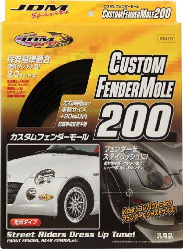 FORTUNE [ �t�H�[�`���� ] �J�X�^���t�F���_�[���[��200 [ �i�� ] JFM01