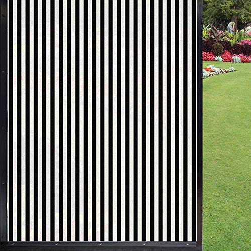 Vinilo decorativo para ventana blanco y negro 60x90 cm miniatura 1