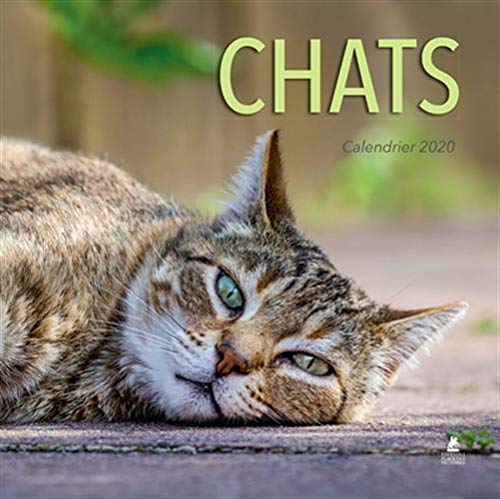Télécharger Calendrier Chats 2020 Livre eBook France