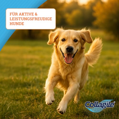 Testsieger: SEHR GUT für Gelenke, Knochen, Muskeln, Bändern und Sehnen - rein natürlich für Hunde und Katzen - Collagile Dog 225g für mehr Lebensfreude