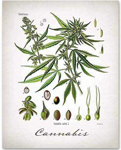 Best Home Vaporizer For Smoking Medical Marijuana