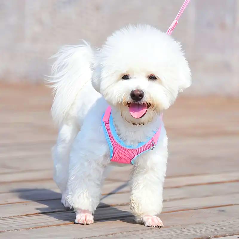 Woofy Puppy Harness and Leash Set No Pulling Plaid Walking Harness Adjustable Mesh Dog Harness with Bow Pet Comfort Padded Vest for Small Dogs and Cats (Size- Small) (Fit Weight 1-5 kg) - Multicolor (B0DF68Z9JV) Amazon Price History, Amazon Price Tracker