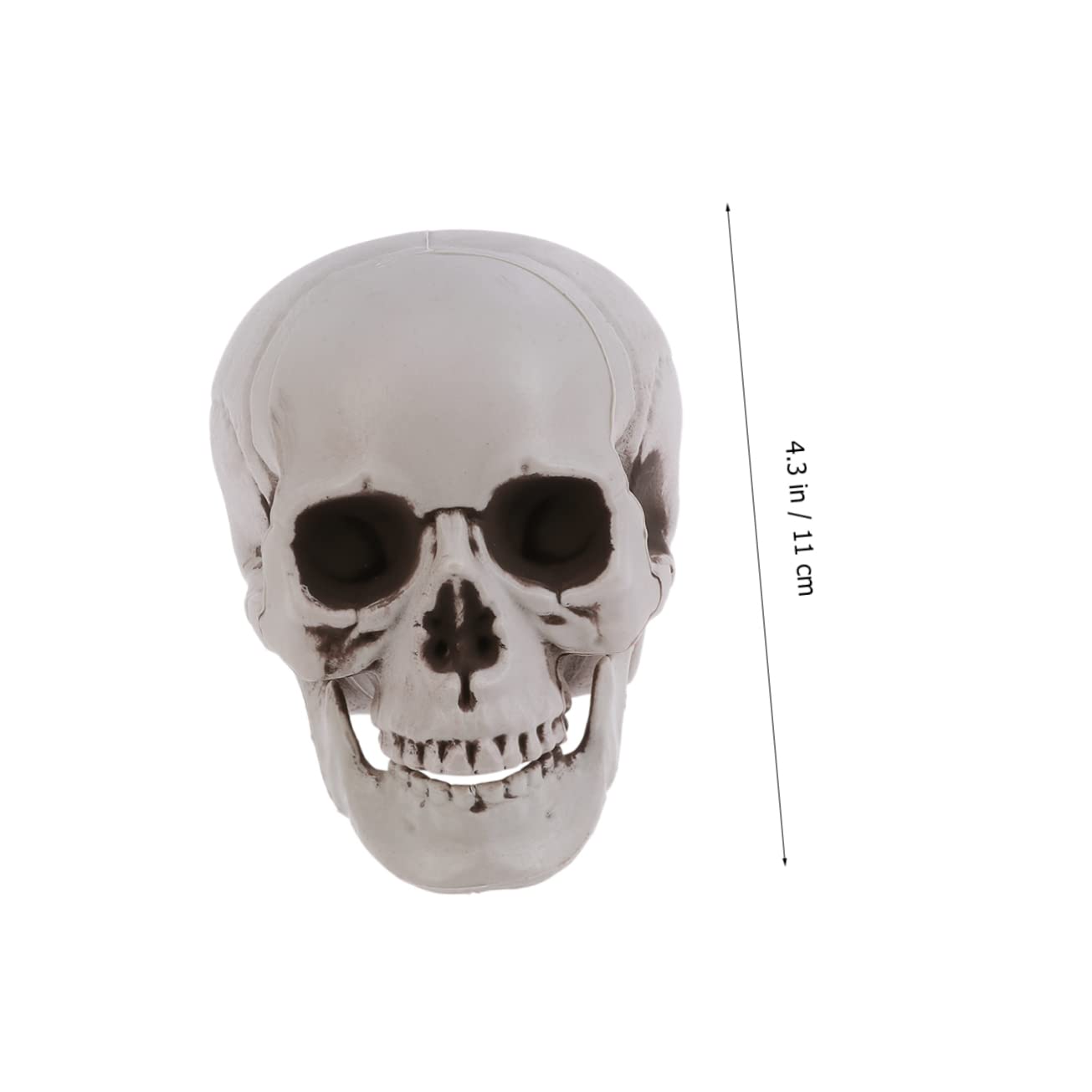 Toyvian 2 Set Eleganti Teschi Scheletrici Di Halloween Teschio Dacoratin Fantasma Puntelli Teschio Accessori Decorazione 3 Pezzi * 2