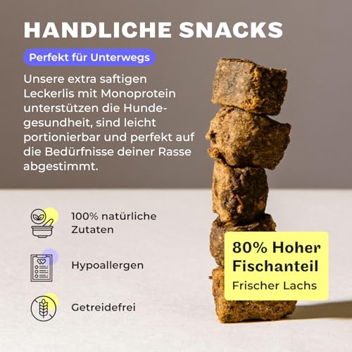 HEY HOLY Set 7 kg Premium Trockenfutter & 1 x 150 g Snacks für Bulldoggen 100% getreidefrei | Hundefutter & Leckerlis für ausgewachsene Bulldoggen mit Lachs | Hochverträglich aus natürlichen Zutaten