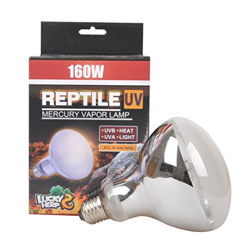 Lucky Herp Bombilla de vapor de mercurio UVA UVB, para reptiles y anfibios como tortugas y dragones barbudos, 160 W, R115, E27, 6 meses de garantía (revestido)