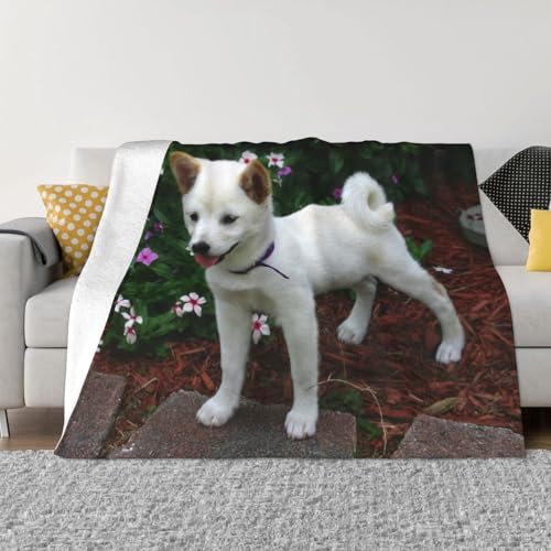エアコンブランケット 柴犬の子犬 コモコモ ふんわり マイクロファイバー 軽量 おしゃれのプレゼント 保育園 昼寝 76×102cm