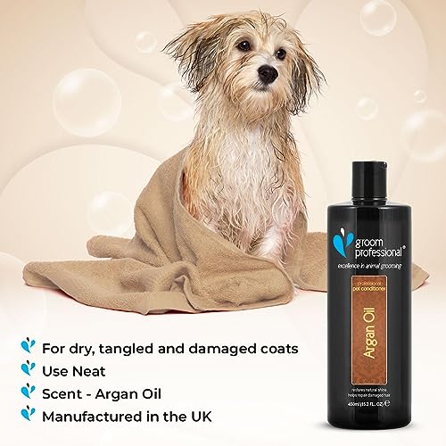 GROOM PROFESSIONAL Argan Oil Conditioner - Pflegespülung für Hunde - Reparierende Conditioner für Hunde mit Geschädigtem Haar - Entwirrende Pflegespülung - Für Trockene und Juckende Haut, 450ml