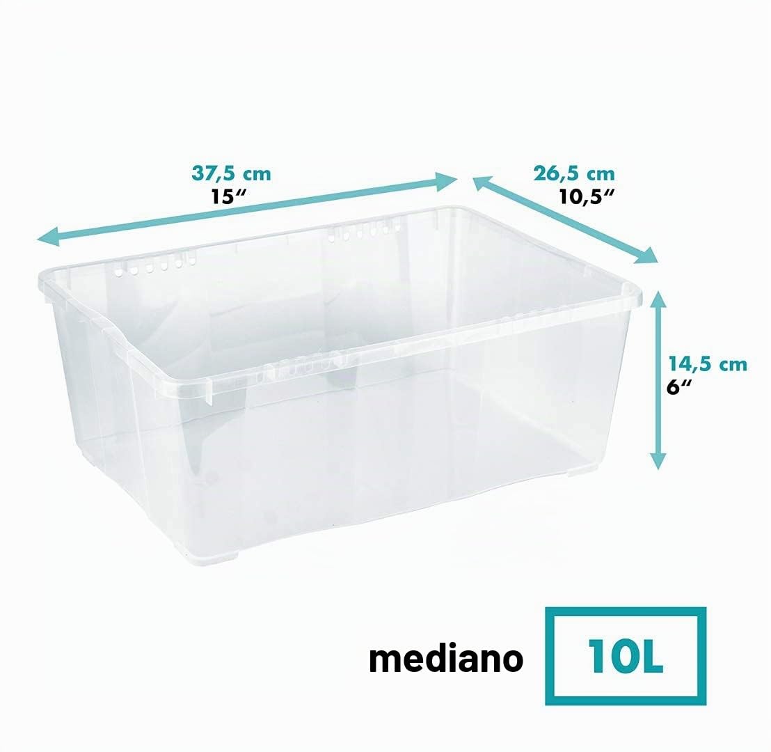 Grizzly 3 x Caja de Almacenaje con Tapa de 10 L - Cajón de Plástico Transparente Apilable - Caja Multiusos Organizador de Armarios para Ordenación de Ropa