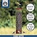 Droll Yankees YCPD-90M Yankee Dipper Bird Feeder, 5 lb, Burgundy