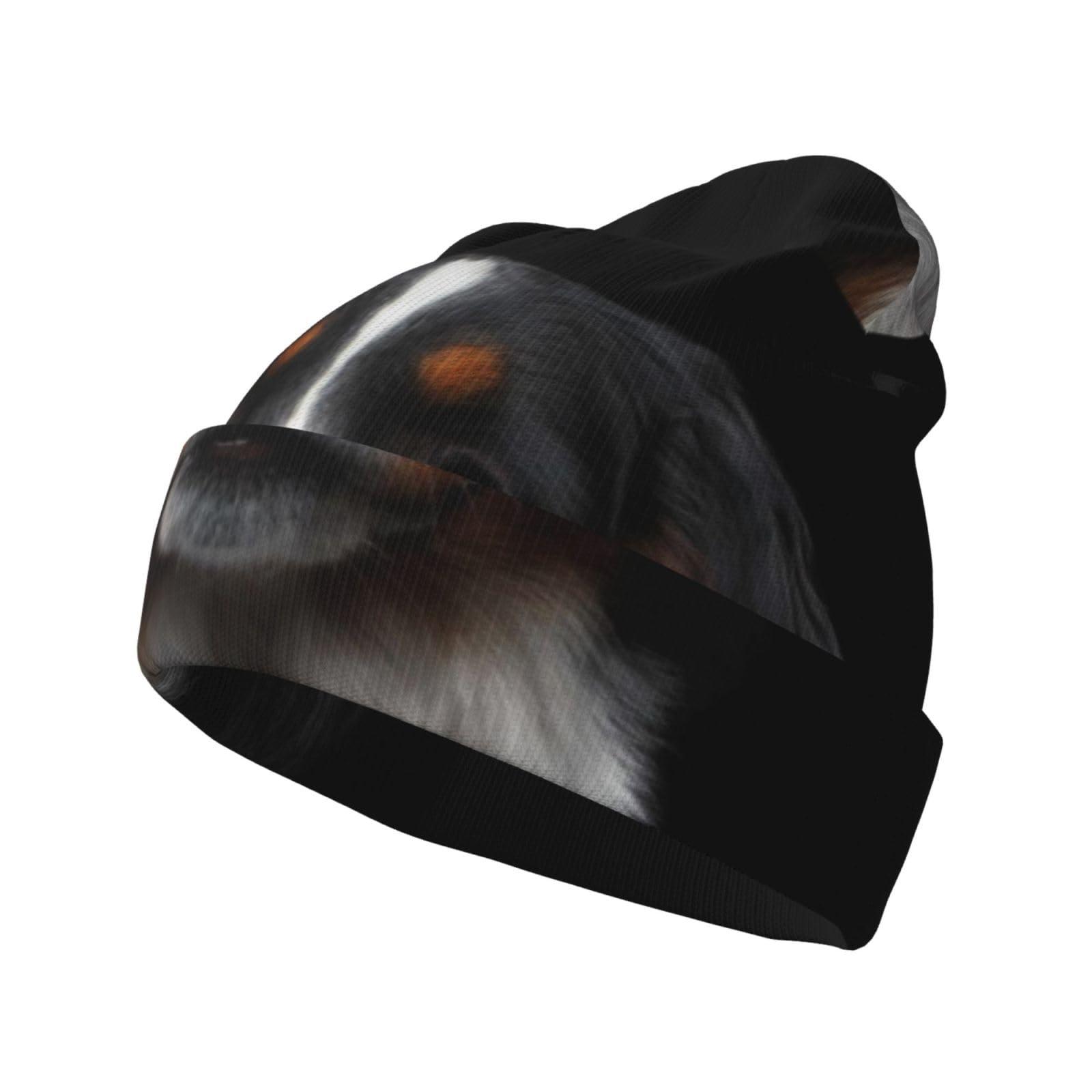 LfearTesa Bernese Mountain Dog,Pullover Knit Hat Skull Cap Polyester Balaclava Slouchy Beanie Running Hat