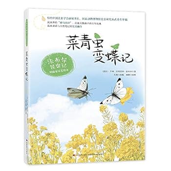 Paperback ?????? [Chinese] Book