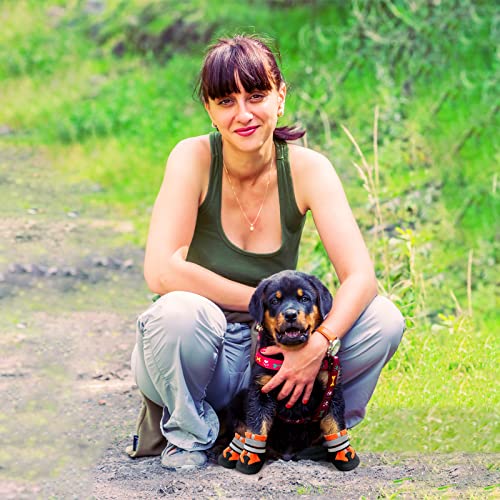 NeuWook Hundeschuhe, 4er-Set wasserdichte Hundeschuhe Anti-rutsch Hundestiefe mit reflektierendem Riemen, Breathable Hundestiefel Pfotenschutz für Kleine Mittelgroße Hunde (S, Orange)