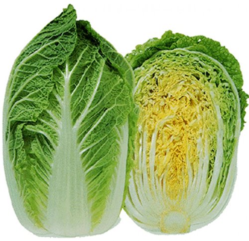 Asian Greens Chinese Cabbage, 50 Seeds Pack by Seedscare (B01DR0QJEU) Amazon Price History, Amazon Price Tracker