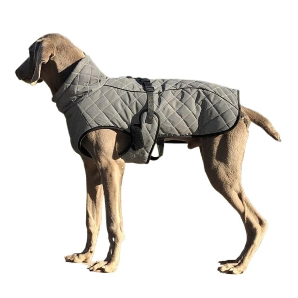 Amazon | 冬用ペット服 反射大型犬用ジャケット 防水 暖かい犬服