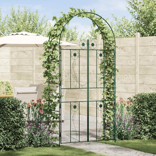 Arche de jardin extérieure en fer vert structure pour rosier