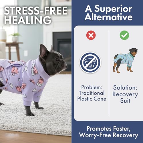 Image of Spark Paws Dog Recovery Suit - Surgical Onesie After Surgery, Male & Female