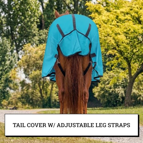Image of Horse Fly Sheet with Attached Neck Cover & Tail Flap | UV Protection Mesh Horse Blanket, Full Body Bug & Sun Shield, Buckles, Belly Wrap & Gussets for Spring Summer Riding Rug (Teal, 74 inch)