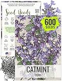 Seed Needs Catmint Seeds for Planting an Indoor/Outdoor Herb Garden - Non-GMO Heirloom & Untreated Herbal Plants - Great for Cats Nepeta mussinii (1 Pack)