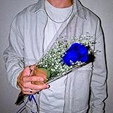 TE COMPRO ROSAS