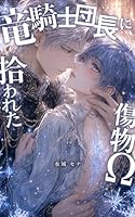 婚約破棄された傷物Ωは冷酷な竜騎士団長に拾われて極上の溺愛に溶かされる