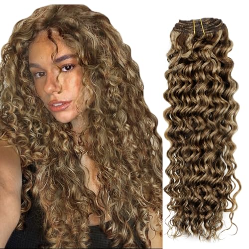 Hetto Curly Clip in Extensions Human Hair Loose Wavy Clip in Hair Extensions Human Hair #P4/27 Brown Highlighted Blonde Curly Clip in Human Hair Extensions 20Inch 7Pcs 105g