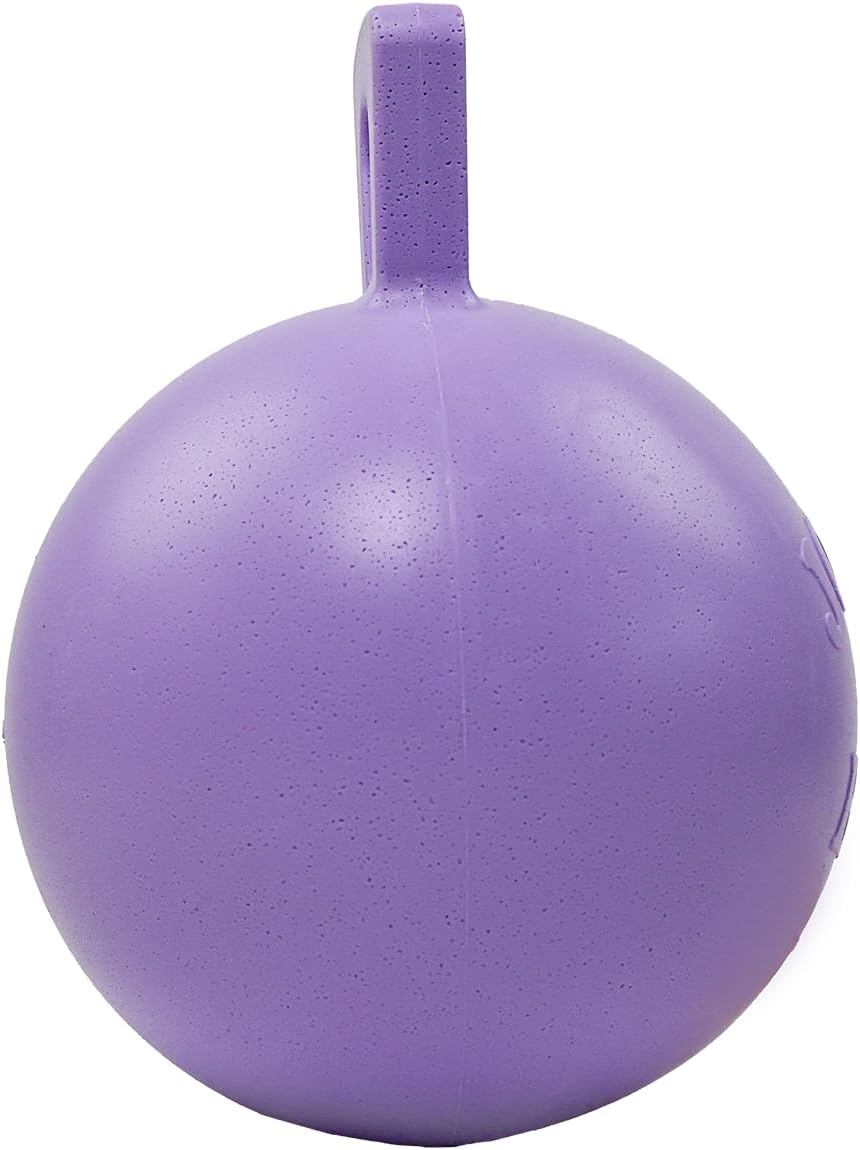 Jolly Pets Tug-n-Toss Heavy Duty Dog Toy Ball with Handle, 8 Inches/Large, Light Purple
