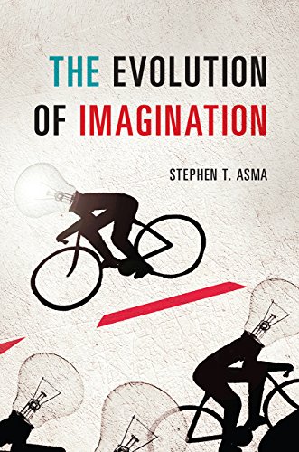 Evolution Of Imagination view 2