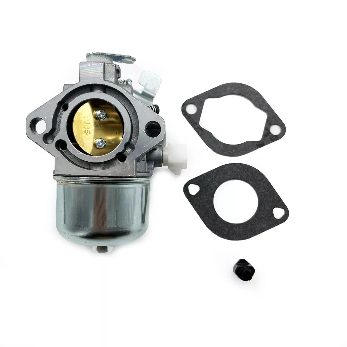 Carburateur Briggs et Stratton 495782 pour entretenir facilement votre pelouse