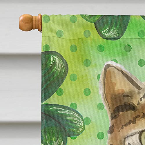 Drapeau Bengal Shamrock multicolore grand format avec motif trèfle - 4