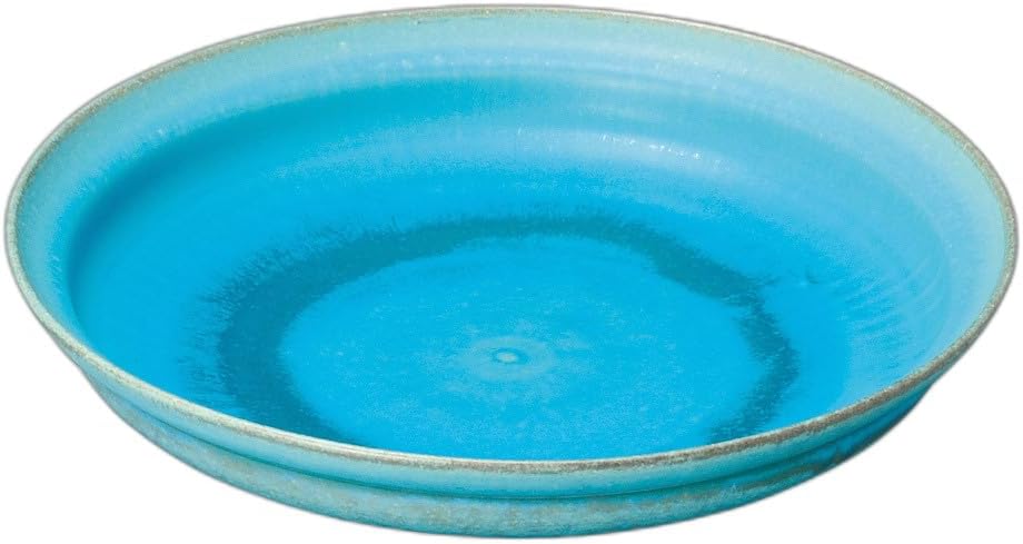 大聖寺伊万里 五彩色絵花鳥図 深皿 径19,5cm 大聖寺伊万里 色絵 赤玉