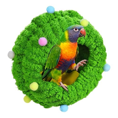 IExbh | ی^xXiOP[u - o[hnEX | RW[ IJCR JiA tB` nX^[  ƒp P[W ybgXgA p