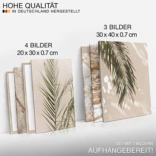 Novart Wandbilder Boho Pampasgras - KOMPLETT AUFHÄNGFERTIG - Beige Wohnzimmer Schlafzimmer - 7 Moderne Mood-Bilder - N005871a