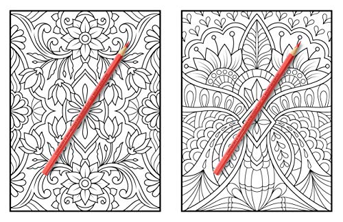 100-Amazing-Patterns-An-Adult-Coloring-Book-with-Fun-Easy-and-Relaxing-Coloring-Pages
