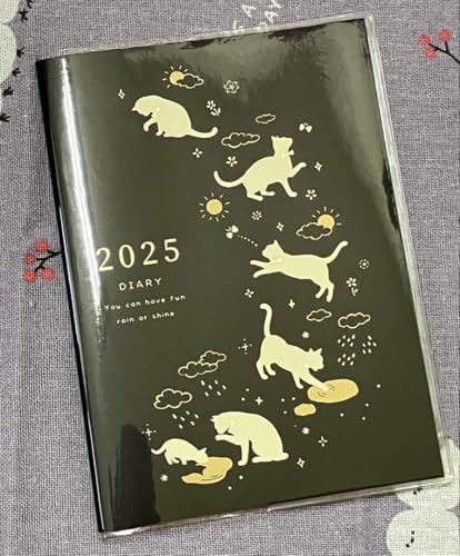 ˂ƓVC 2025N XPW[ A6TCY L 蒠