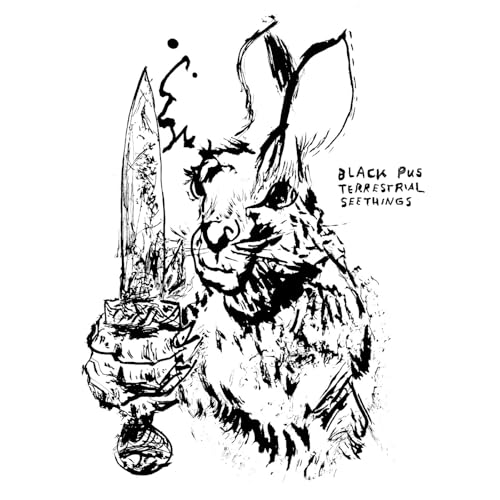 Terrestrial Seethings [Vinyl LP]