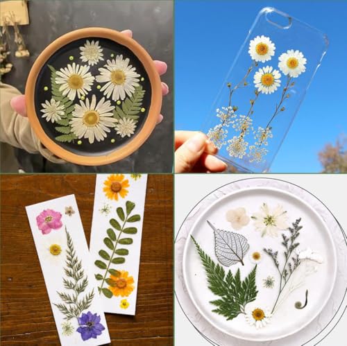 Image of 204 Pcs Dried Pressed Flowers for Resin Crafts, Real Natural Pressed Flowers and Leaves Kit Butterfly Stickers Vacuum Sealed Dry Flowers for DIY Epoxy Resin Jewelry Molds, Candle Soap Making, Nail Art