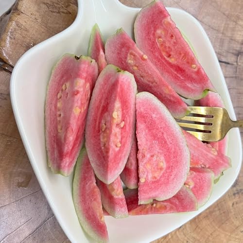 80 piezas Semillas de guayaba - Psidium guajava - plantas de interior de frutas frescas semillas de guayaba, fruta fresca semillas orgánicas plantatura de árboles frutales, semillas