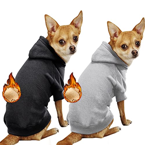 Hoodie Fr Franzsische Bulldogge