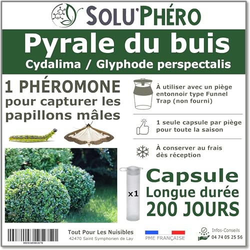 SOLUPHERO - 1 Phéromone Longue durée pour la pyrale du buis - 200 Jours