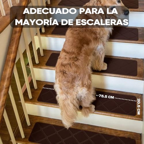 La mejor selección de Alfombras de escalera los mejores 5. 20 Imagen adicional