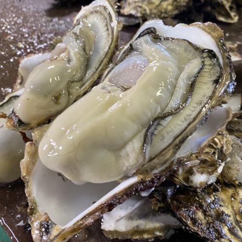 牡蠣 生食用 かき 殻付き 生牡蠣 3kg 希少 新鮮 石巻 宮城 産地直送 海鮮 バーベキュー 食材 焼き牡蠣 貝 最適な亜鉛摂取源