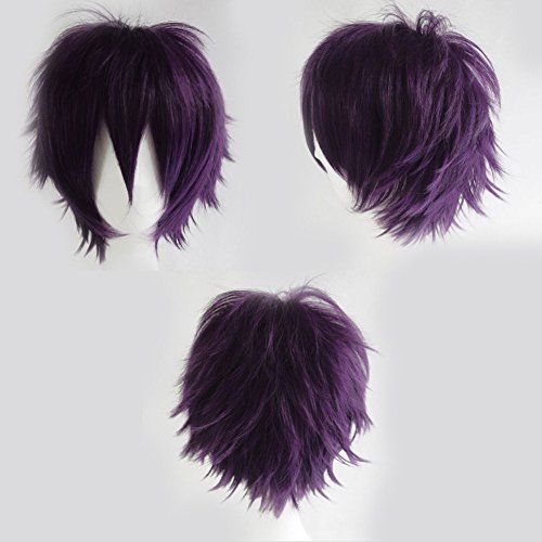 Anime Cosplay Synthetic Full Wig with Bangs 20 Styles Short Layered Fluffy Hair Oblique Fringe Full Head Unisex +Stretchable Elastic Wig Net for Man and Women Girls Lady Fashion (Dark Purple)